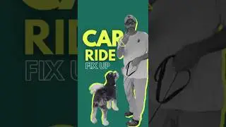 Dog Won&rsquo;t Get in the Car? Teach &ldquo;Load Up&rdquo; in 3 Easy Steps