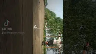 S move #wizardskating