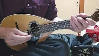 Fla-Flu/Zequinha de Abreu/mandolin(マンドリン)