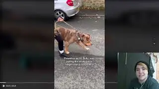 Big Dog Fellas Review