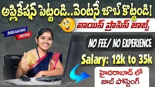 🔥అప్లికేషన్ పెట్టండి...జాబ్ కొట్టండి! Latest Job Search 2026 Telugu | Voice Process Job 2026 Telugu