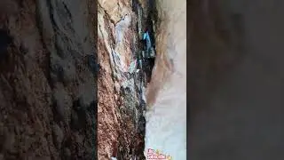MICRO JUNGLE EXPLORER*(MICRO CAVE-213)