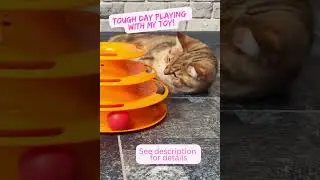Best Seller Cat Toy Roller 3 Level Turntable