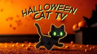 Halloween Cat TV 🎃 Cartoon Cats, Pumpkins & Ghosts for Cats to Watch (4 hours)