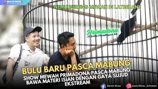 BULU BARU❗PRIMADONA MUNTAH ISIAN DENGAN GAYA SUJUD EXTREAM