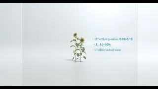 MicroShade Film&reg; (ENG)