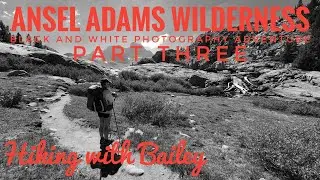 Ansel Adams Wilderness black and white photography adventure, Hiking with Bailey, part three