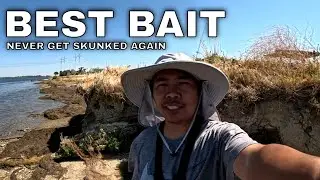 Striper Fishing Unexpected Catch 2025!!!(O'Neill Forebay Fishing)