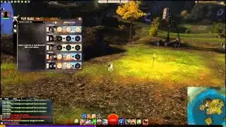 Celestial Engineer Build(Guild Wars 2)