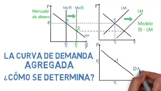 Curva de demanda agregada, &iquest;c&oacute;mo se determina? | Cap. 30 - Macroeconom&iacute;a