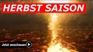 HERBST SAISON / Cuxhaven Fotos | Cuxhaven Fotografiert