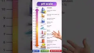 pH Scale #science #education #acid #base #chemistry