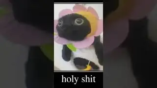 Wow #cursed #funny #memes #shorts #popular #recommended #trending #cat #cursedcats