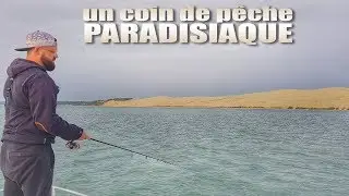 AVALANCHE de POISSON dans un coin de PÊCHE PARADISIAQUE ...