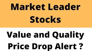 Market Leader Stock ? Value and Quality ? Long Term Investment