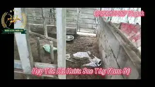 KỸ THUẬT XÂY CHUỒNG NUÔI HƯƠU SAO