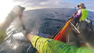 Pb Monster #WAHOO, Cabo Ocean Kayak fishing. Stradbroke Island.