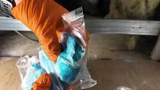 Souris dans les murs & plafonds, l'&eacute;ternel probl&egrave;me