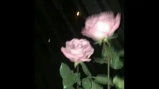 snow strippers + crystal castles + synth pop type beat 