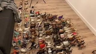 Live z układania koni na półkach 🐴🐎❤️