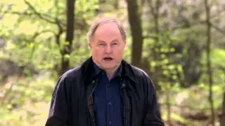 Support the Woodland Trust Centenary Woods project