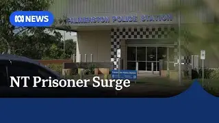 Calls for federal intervention after NT Police hold 11yo in custody overnight | ABC NEWS