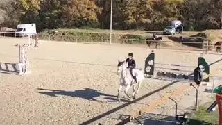 Cindy & Tip Top Fly; Pr&eacute;pa 115 au Haras de la Buissonne