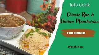 Authentic Chinese Rice & Chicken Manchurian | Restaurant Style | Easy to cook | @zaiqaaurrbatein.