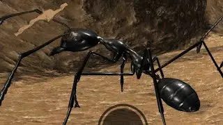 SEMUT HITAM TARUNG DENGAN LABA LABA!!ant simulation