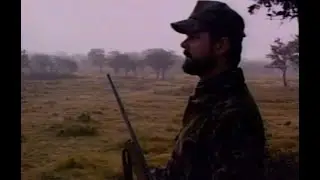 Buck Madness