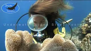 0526_Female diver and soft coral in slow motion, HD underwater video stock footage