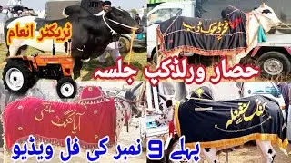 Bull Race Hassar |Pala 9 Number Full Video |King Malangi, Qalandari One, Daba Hassariya,King Shola,