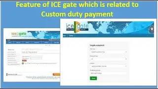 Feature of ICE gate which is related to Custom duty payment