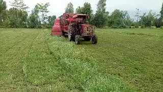 forage harvester fodder cuter cutting berseem