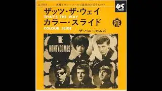 The Honeycombs Colour Slide (Live Radio Session, 1965. Unreleased)