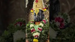 जया एकादशी#जयाएकादशी #एकादशी #विठ्ठल #विठू #विठूमाऊली #vitthal #vithuraya #vithumauli #vitthu