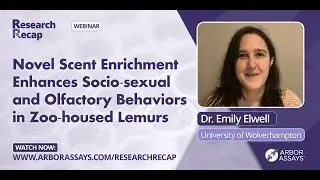 Research Recap: Novel Scent Enrichment Enhances Socio‐sexual & Olfactory Behaviors in Zoo Lemurs