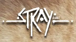 Stray Livestream
