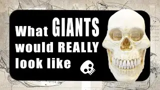 What would you look like if you were a giant? | How Animal Skulls Change with Size