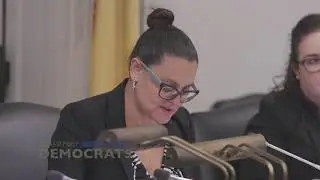 Pintor Marin on FY2020 Budget Proposal