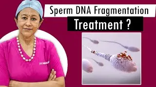 Sperm DNA Fragmentation Treatment: Improve Fertility Naturally and Medically | Dr Vandana Bansal