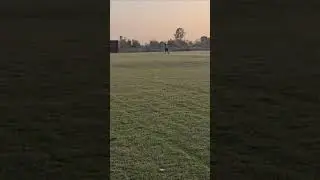 Stamp Out cross check Limit #cricket #cricketlovecricket #cricketenthusiast #cricketloverfans #viral