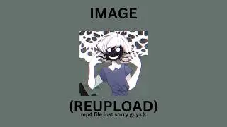 IMAGE_REUPLOAD.mp4