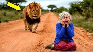 Hijo abandona a su madre anciana en la sabana, lo que el león le hizo conmocionó a todos...