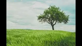 india year book environment chapter