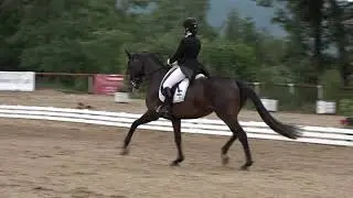 Ant&oacute;nia G&aacute;lfi - HEAVENS DARK LADY - Freestyle Young Riders - CDI Brno 2018