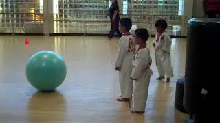 Karate Skills Game - Dodge Big Blue Ball