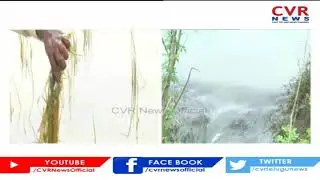 Ground Report on Crops Damage in West Godavari | AP Floods 2020 | CVR News