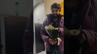 Husband Surprise 🌸 | Married Life Moments 