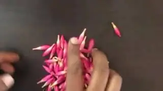 Dular baha reak' mala Jesus song